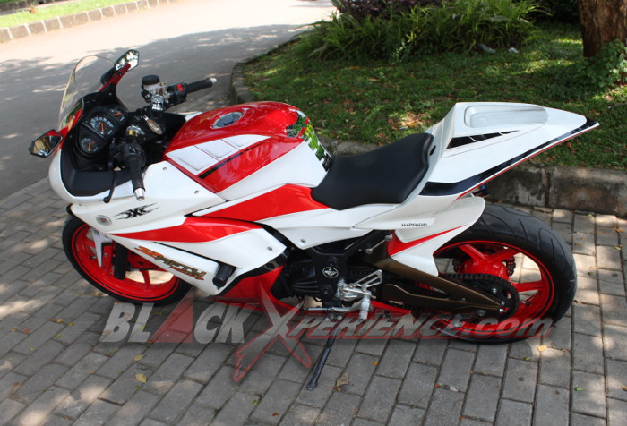 Elegant Sporty Ninja 250R